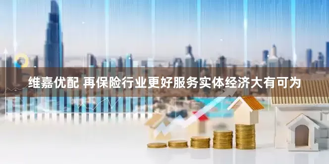 维嘉优配 再保险行业更好服务实体经济大有可为
