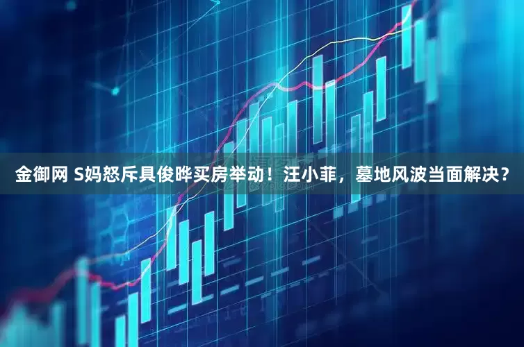 金御网 S妈怒斥具俊晔买房举动！汪小菲，墓地风波当面解决？