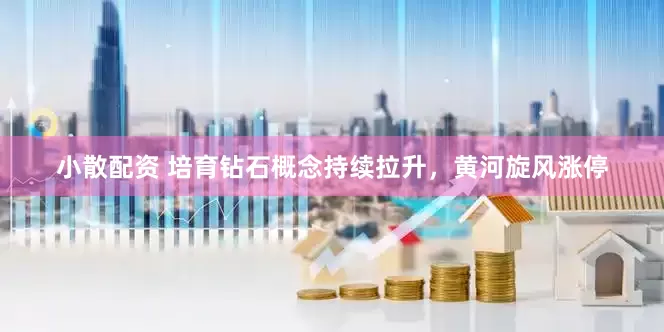 小散配资 培育钻石概念持续拉升，黄河旋风涨停