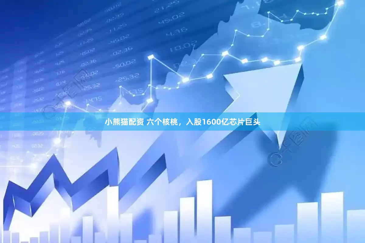 小熊猫配资 六个核桃，入股1600亿芯片巨头
